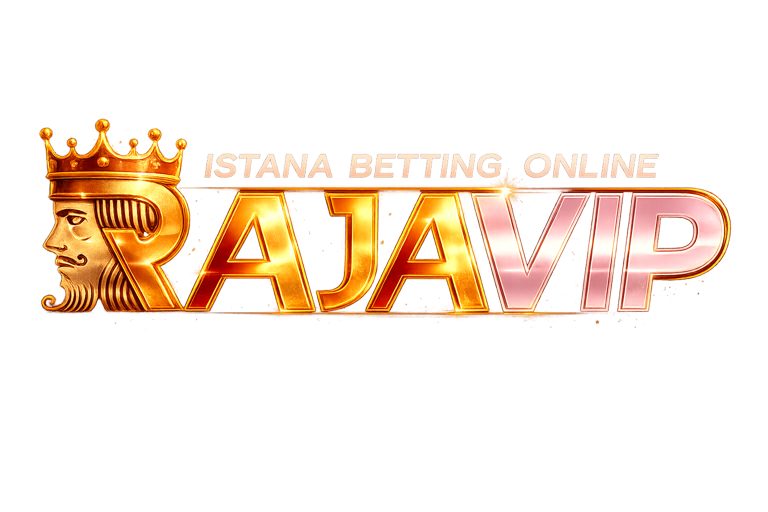 Logo RAJAVIP